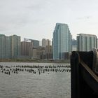 Hoboken Terminal 20. View from the ferry terminal.