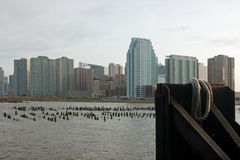 Hoboken Terminal 20. View from the ferry terminal.