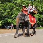 ...hoch auf dem Elefant...