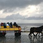 Hoch auf dem gelben Wagen !!!