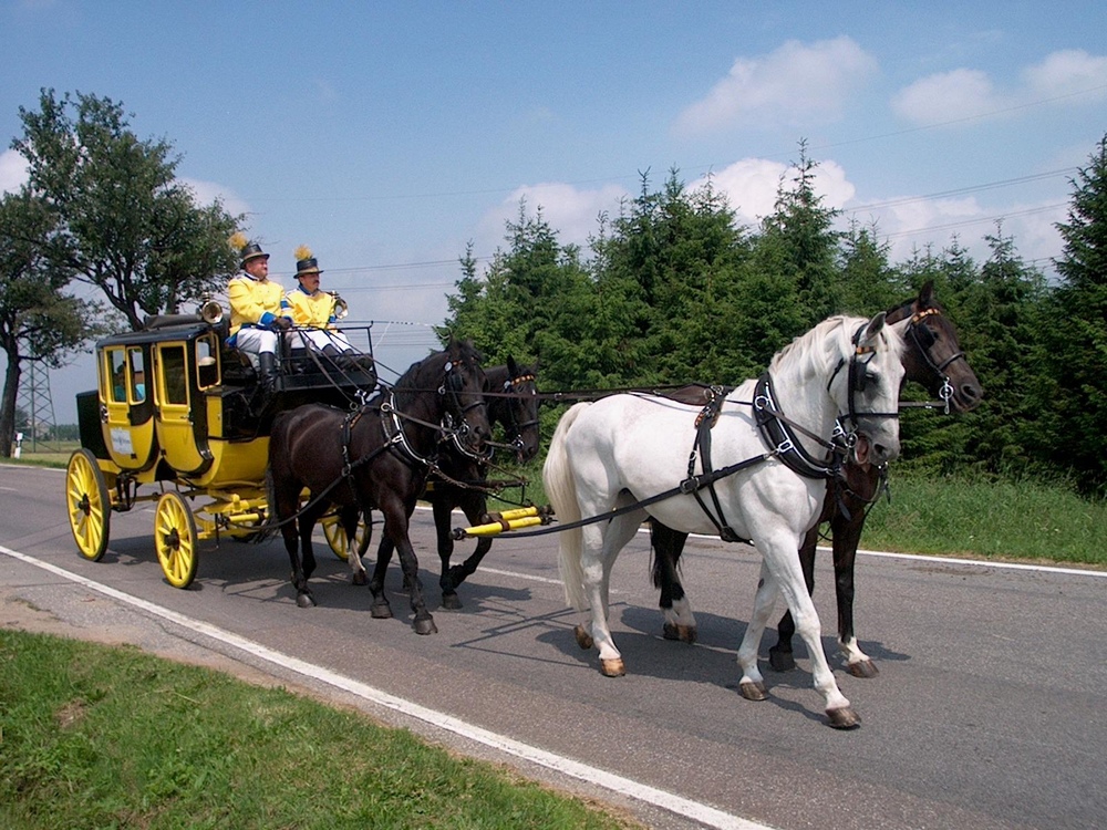 Hoch auf dem Gelben Wagen