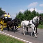 Hoch auf dem Gelben Wagen