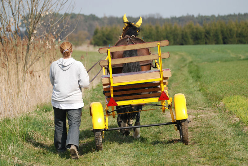 Hoch auf dem gelben Wagen - oder eher daneben