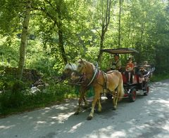 Hoch auf dem roten Wagen.