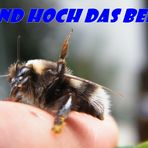 Hoch das Bein