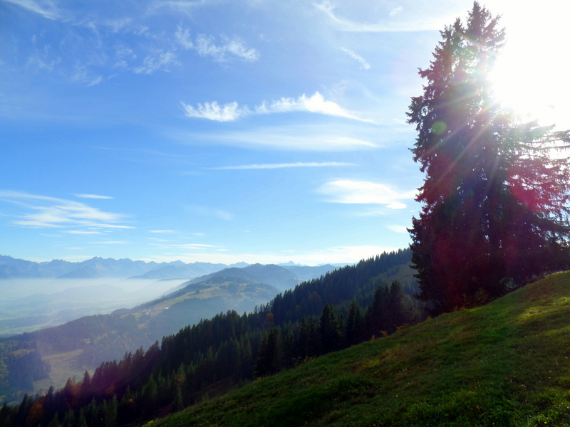 Hoch droben auf dem Berg