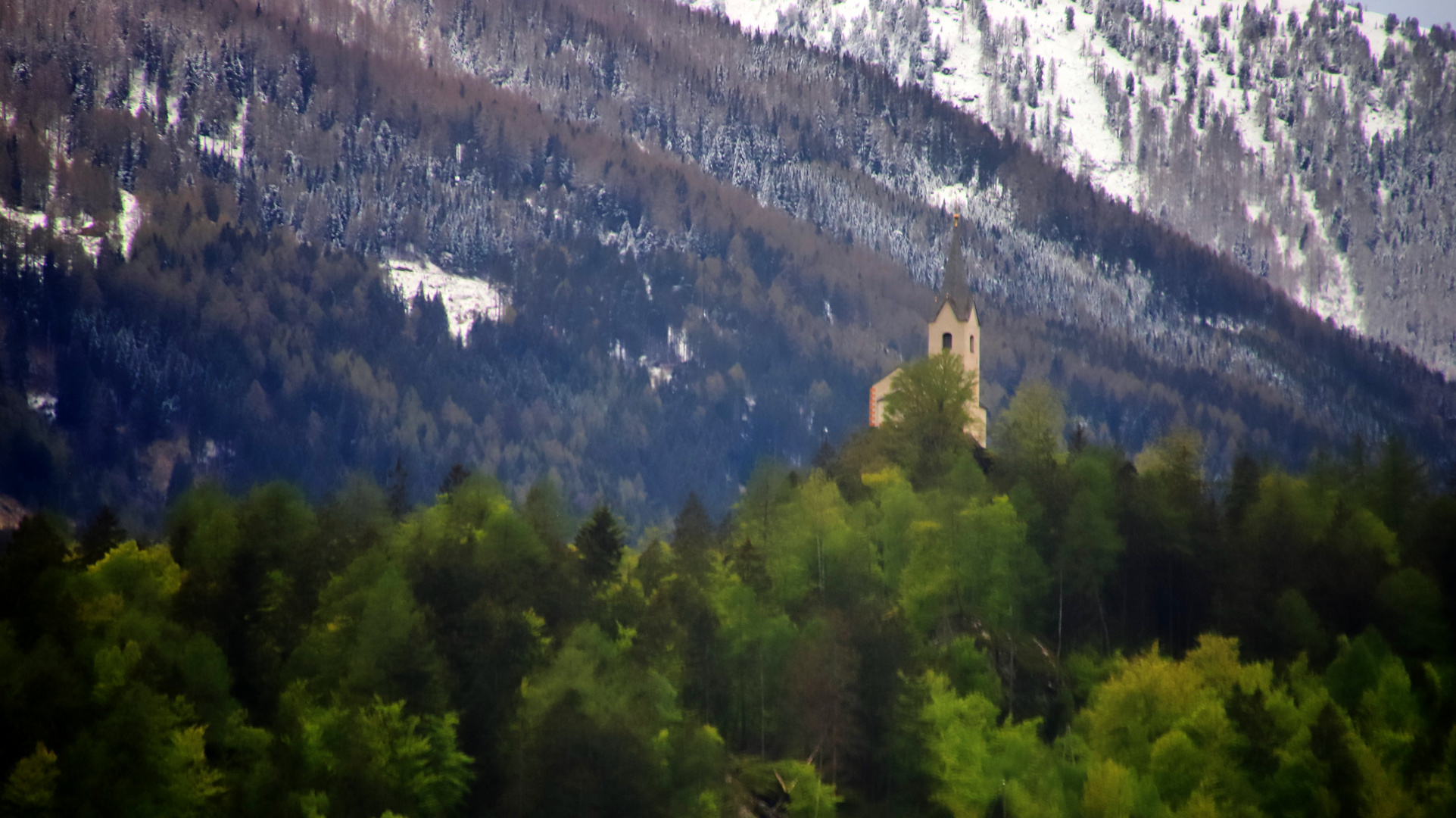 Hoch droben auf dem Berg