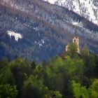 Hoch droben auf dem Berg