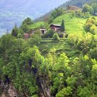 Hoch droben auf dem Berg