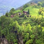 Hoch droben auf dem Berg