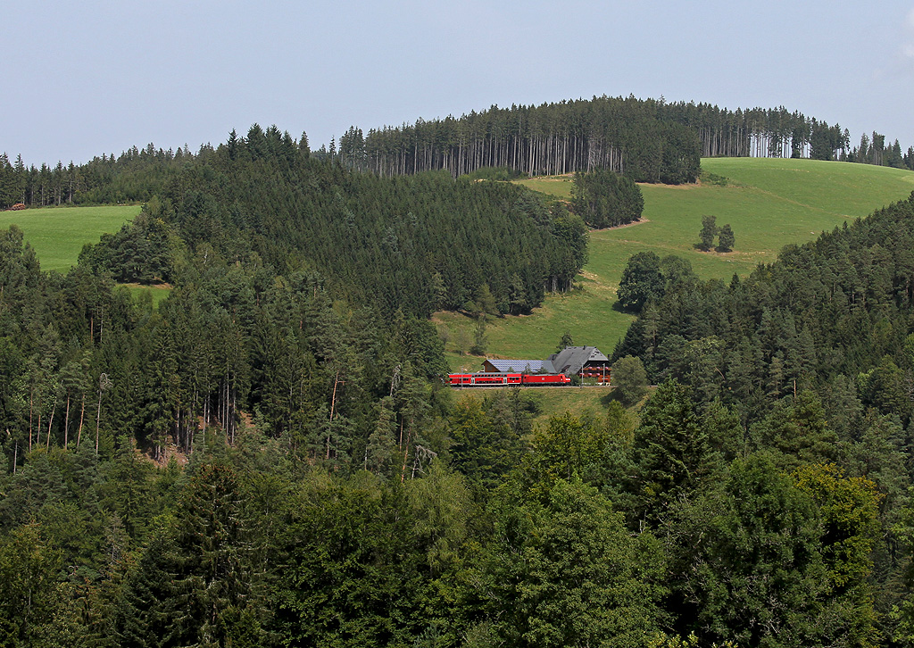 Hoch droben im Wald...