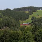 Hoch droben im Wald...