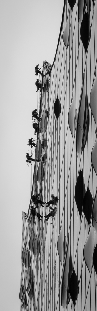 Hoch-Glanz (Elbphilharmonie Hamburg)