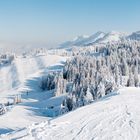 Hoch Häderich im Winter