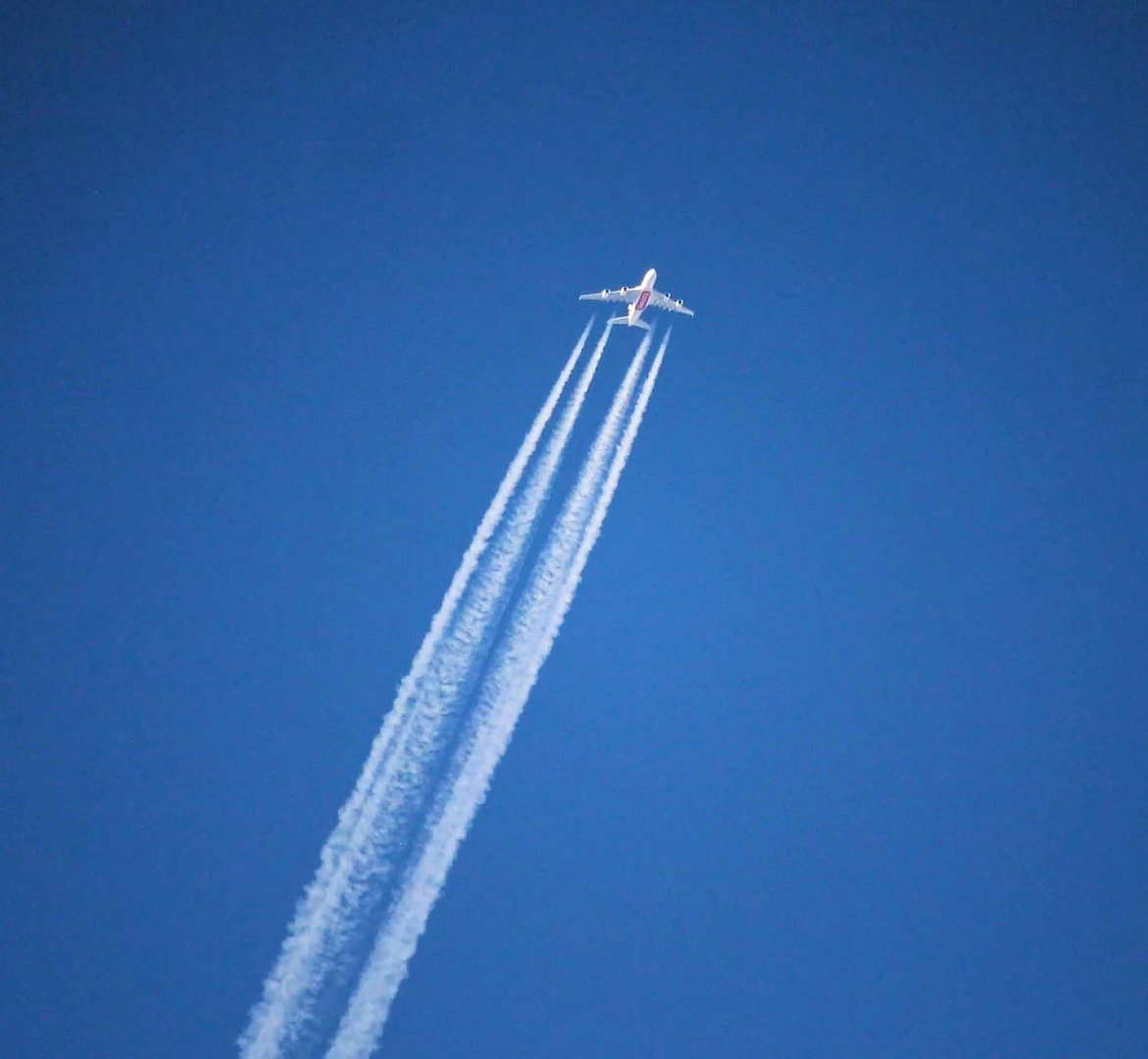 Hoch hinauf in den blauen Himmel