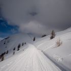 Hoch hinauf zur Gitsch-Hütte