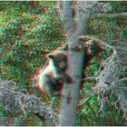 Hoch hinaus... (3D Anaglyphe)