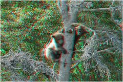 Hoch hinaus... (3D Anaglyphe)