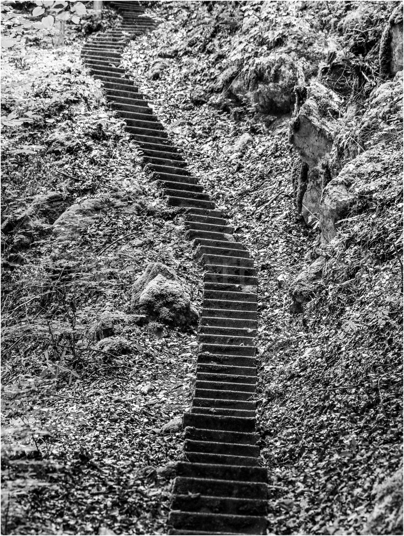 Hoch hinaus . . . Foto & Bild spezial, treppe, aufgang Bilder auf