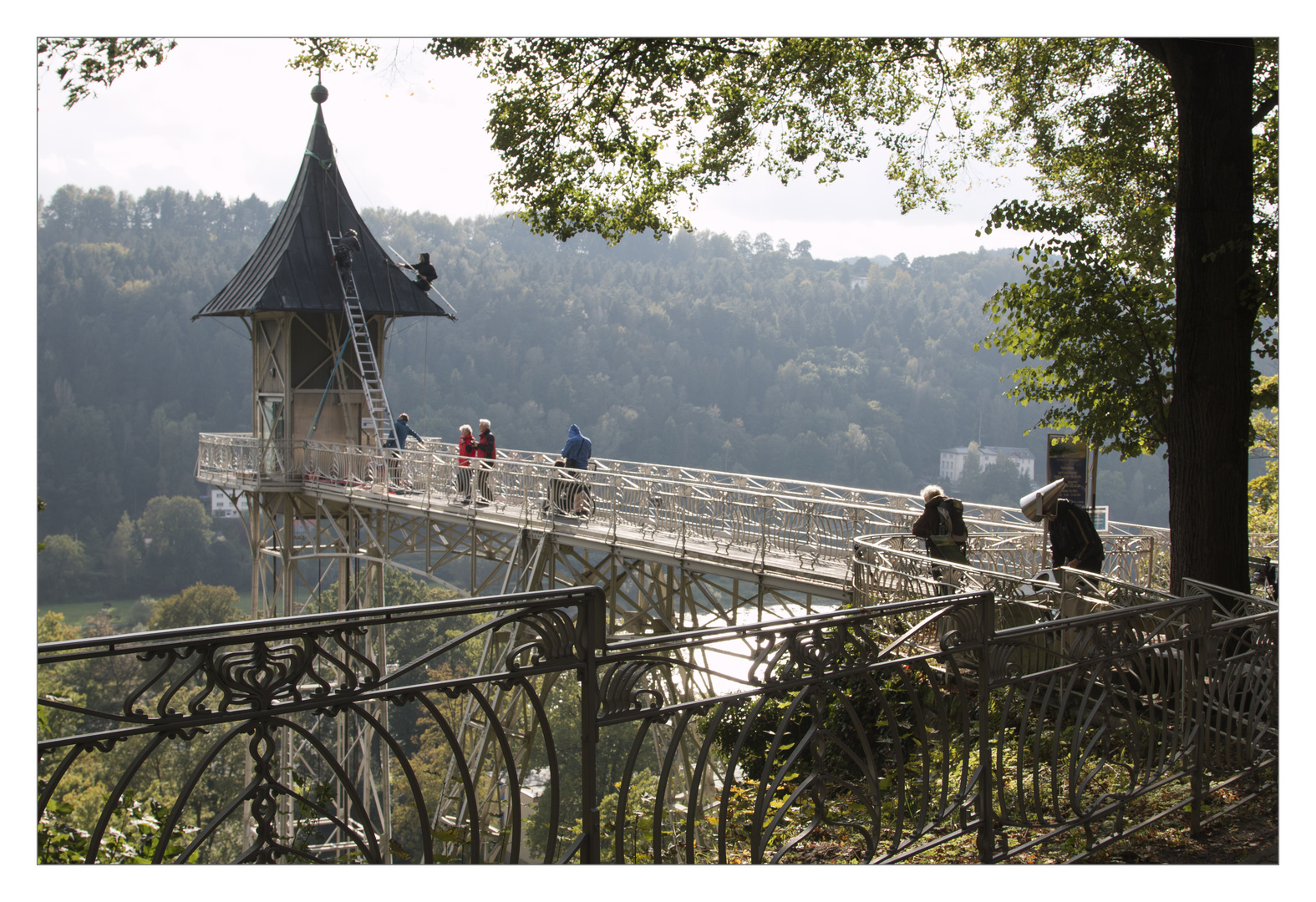 Hoch hinaus In Bad Schandau