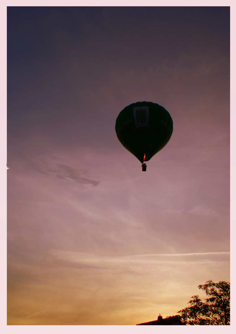 Hoch hinaus in die Abendsonne...