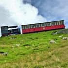 Hoch hinaus - Mount Snowdon