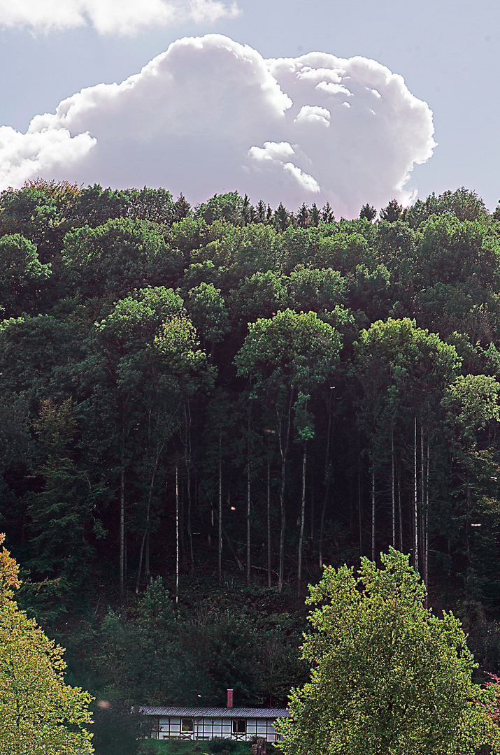 HOCH / HÖHER / SCHATTENWELT