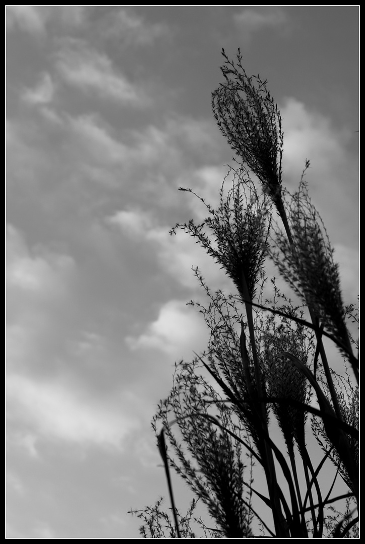 Hoch in die Wolken