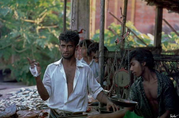 Hoch konzentriert / Fully Focused