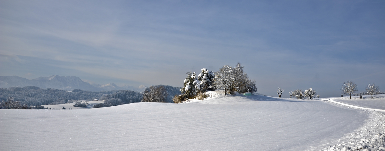 Hoch oben am Plöschenberg