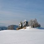 Hoch oben am Plöschenberg