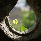 Hoch oben an der Mauer