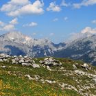 Hoch oben auf dem Berg