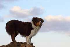 Hoch oben auf dem Berg !!