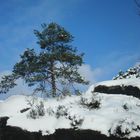 hoch oben auf dem Felsen...