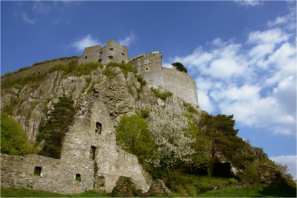 Hoch oben - Burg Hohentwiel