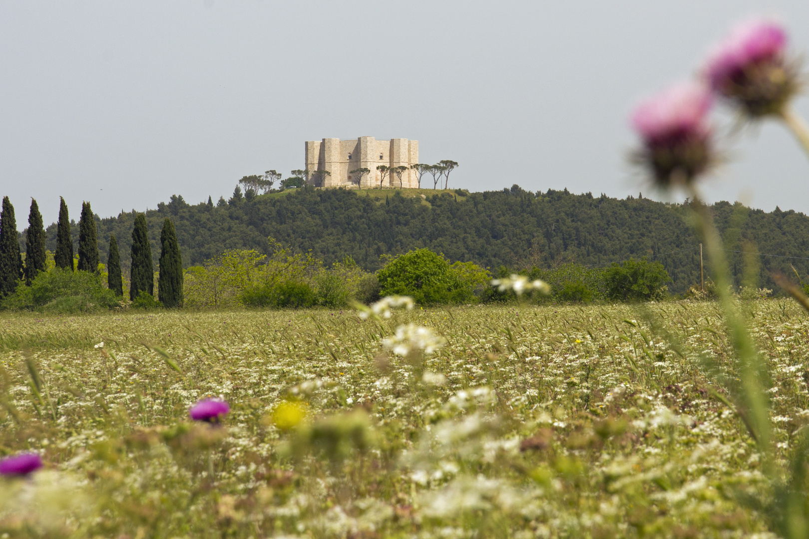 Hoch oben "Castel del Monte"