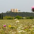 Hoch oben "Castel del Monte"