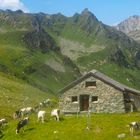 Hoch oben im Gargellental