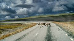 Hoch oben in Lappland