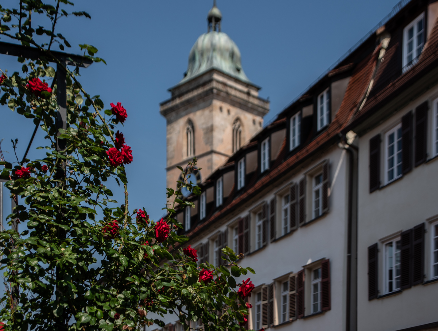 Hoch oben steht der Turm der Stadtkirche