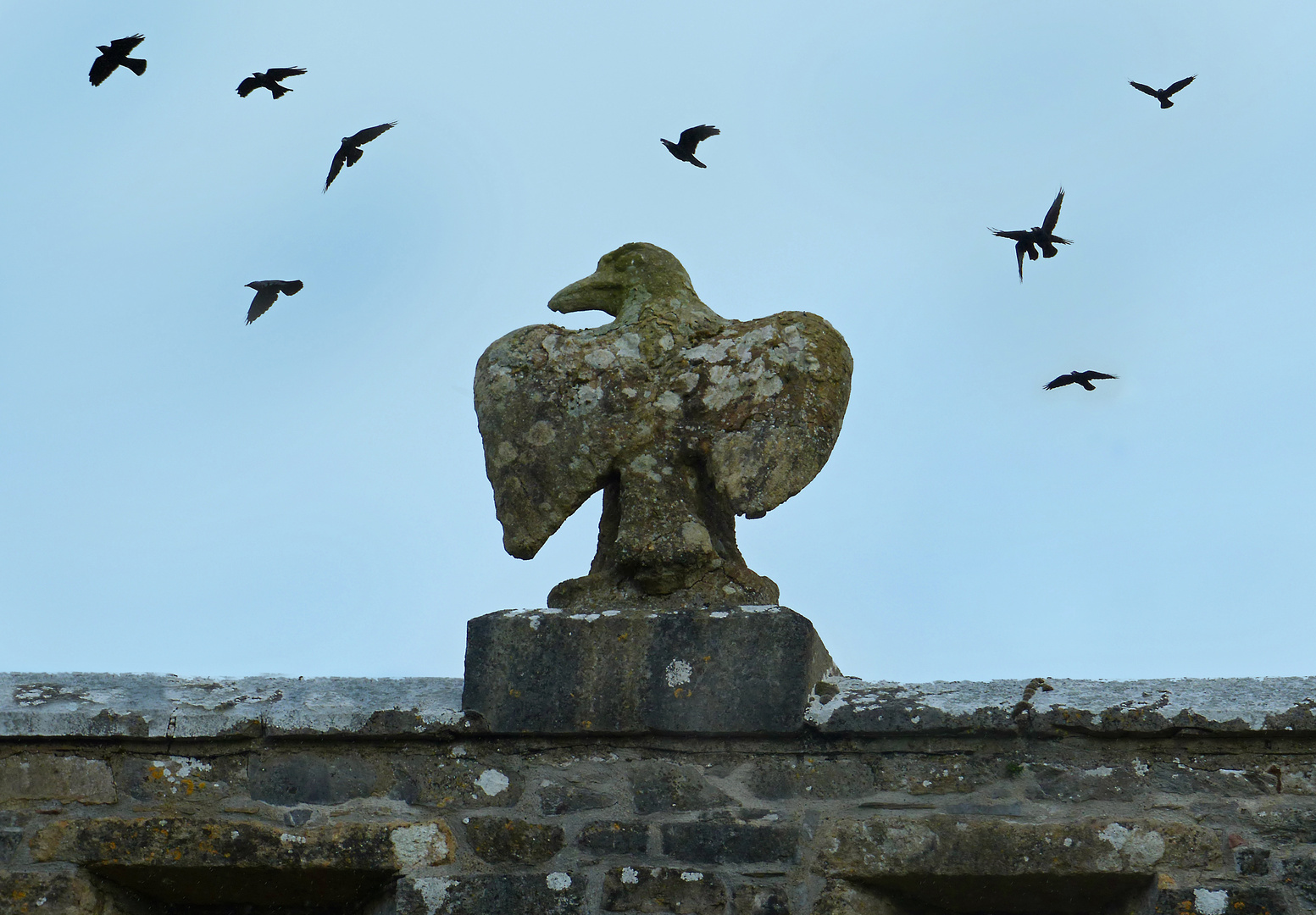 Hoch oben thront ein Steinadler