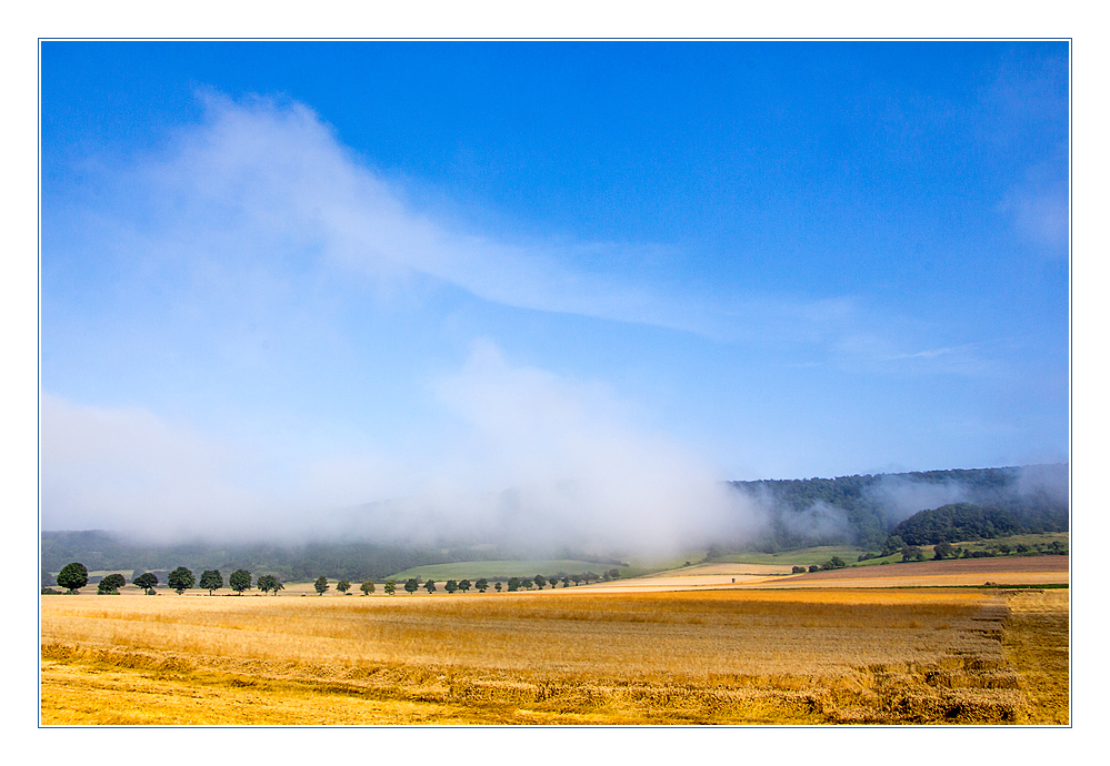 Hoch- Sommer- Hoch- Nebel