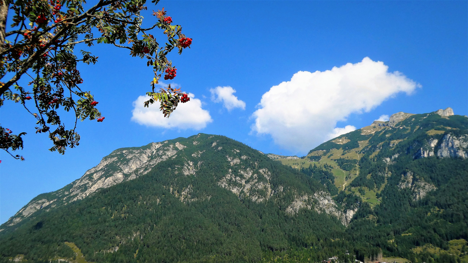 Hoch über dem Achensee