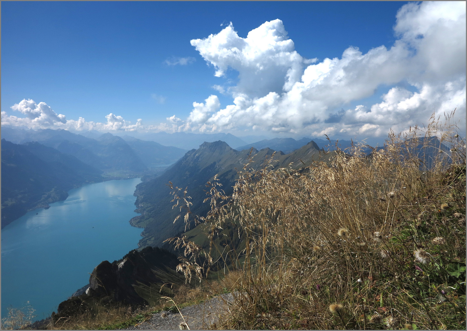 Hoch über dem Brienzersee