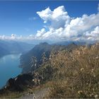 Hoch über dem Brienzersee