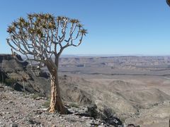 Hoch über dem Fish River Canyon