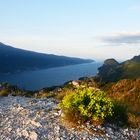 Hoch über dem Gardasee