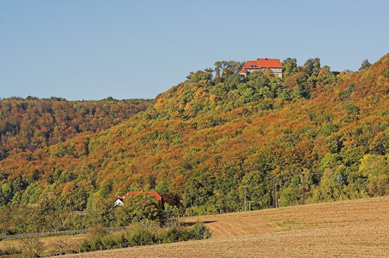 Hoch über dem Herbstwald