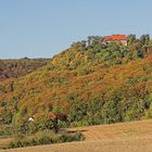 Hoch über dem Herbstwald